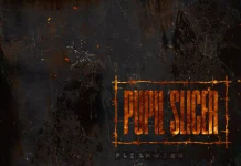 Kritik zu Pupil Slicer FLESHWORK