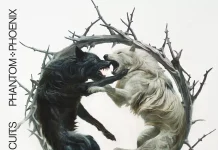 Kritik zu Stellar Circuits PHANTOM PHOENIX