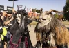 Galerie: M’era Luna 2026 (Impressionen)