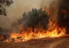 Erhöhte Gefahr für Wald- und Flächenbrand
