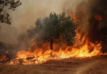 Erhöhte Gefahr für Wald- und Flächenbrand