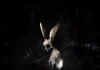 Kritik zu Ghøstkid FOLLOW THE WHITE RABBIT