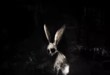 Kritik zu Ghøstkid FOLLOW THE WHITE RABBIT