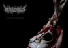 Kritik zu Mental Cruelty ECHOES OF A FORLORN LAND