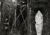 Kritik zu Wolves In The Throne Room ESTUARY