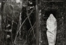 Kritik zu Wolves In The Throne Room ESTUARY
